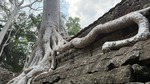 016 Cambodia by Chris Chance
