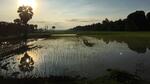021 Cambodia by Chris Chance