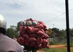 023 Cambodia by Chris Chance