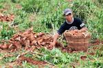 134 Cambodia by Chris Chance