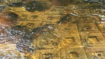 149 Cambodia by Chris Chance